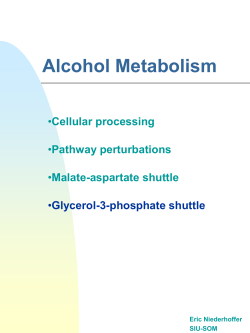 ppt