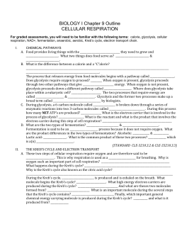 BIOLOGY I Chapter 9 Outline CELLULAR RESPIRATION For