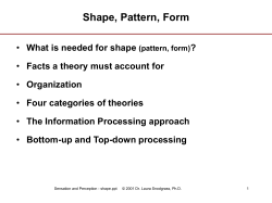 Shape