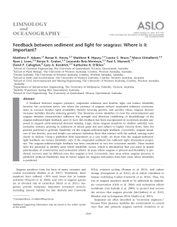Feedback between sediment and light for seagrass