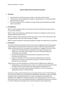 Business Opportunities Working Group Report V.3 121016