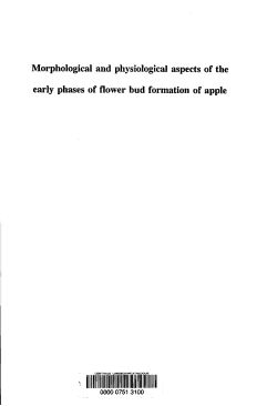 Morphological and physiological aspects of the early phases of