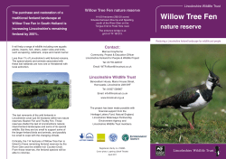 Willow Tree Fen - IUCN UK Peatland Programme