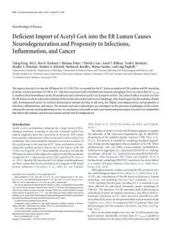 Deficient Import of Acetyl-CoA into the ER Lumen Causes