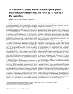 Three new host plants of Edessa loxdalii (Hemiptera: Heteroptera