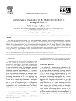 Supramolecular organisation of the photosynthetic chain in