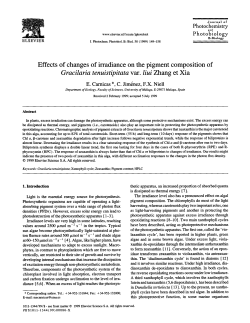 Photochemistry Photobiology