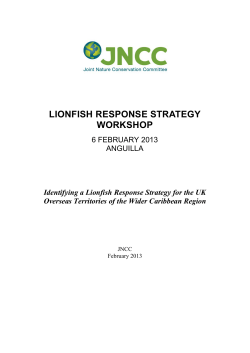 Lionfish Response strategy Workshop