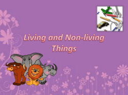 Living and Non-living Things