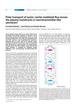 Polar transport of auxin