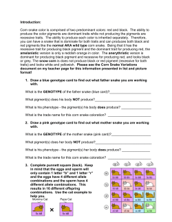 Introduction: Corn snake color is comprised of two predominant