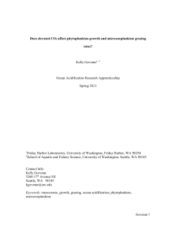 Does elevated CO2 affect phytoplankton growth and