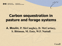 Carbon Sequestration