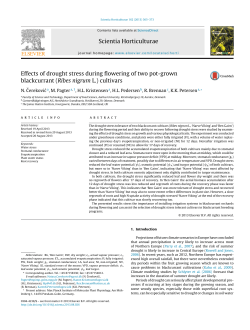 Effects of drought stress during flowering of two pot