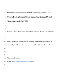 The Chloroplast Genomes of Chlorodendrophyceans and Core