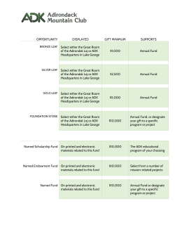OPPORTUNITY DISPLAYED GIFT MINIMUM SUPPORTS BRONZE