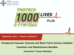 Peripheral Vascular Cannula and Short Term