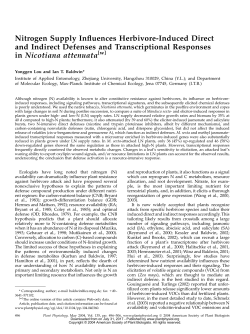 Nitrogen Supply Influences Herbivore-Induced