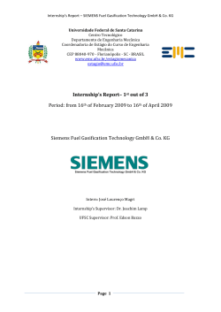 Internship`s Report – SIEMENS Fuel Gasification - EMC
