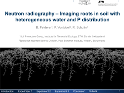 Neutron radiography &ndash; Imaging roots in soil with