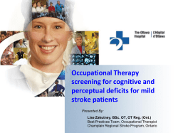 Cognitive and perceptual screening for all mild stroke patients