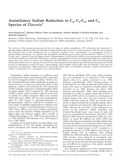 Assimilatory Sulfate Reduction in C3, C3