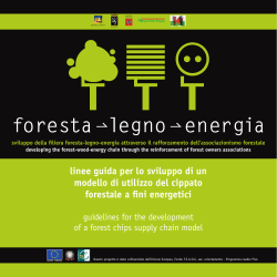 linee guida per lo sviluppo di un modello di utilizzo - CNR