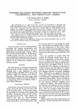 further relations between primary production, chlorophyll, and