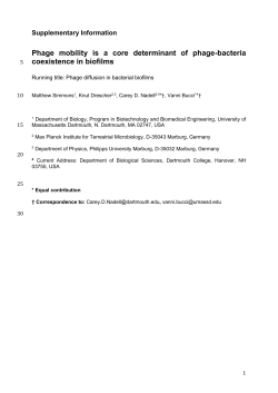 Supplementary Video Files