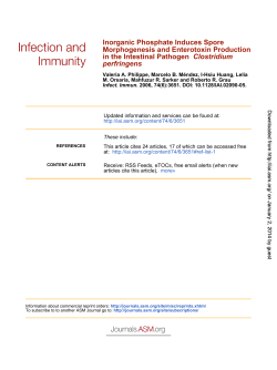 Philippe, Grau et al., 2006 Inorganic Phosphate Induces