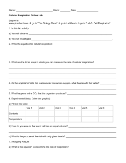Lab Bench Activity - Cellular Respiration
