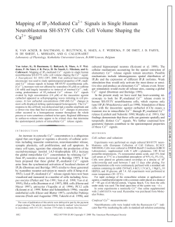 Mapping of IP3-Mediated Ca Signals in Single Human