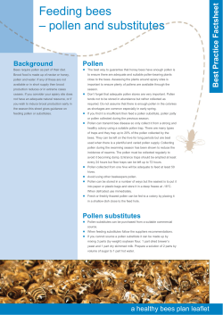 pollen and substitutes