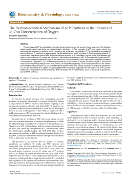 The Electromechanical Mechanism of ATP Synthesis in the