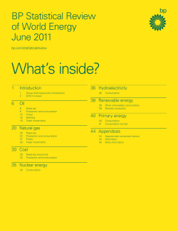 Statistical Review of World Energy June 2010