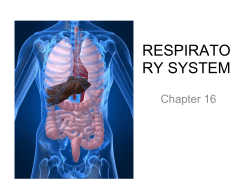 the Respiratory System