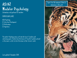 CZ Powerpoint Template