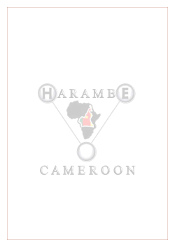 harambe ambassadors mentorship program