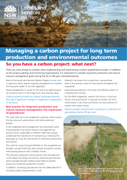 Managing a carbon project for long term production and