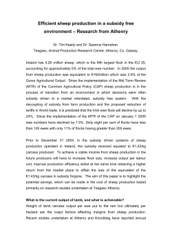 Efficient sheep production in a subsidy free environment