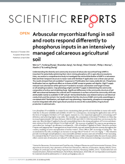 Arbuscular mycorrhizal fungi in soil and roots respond