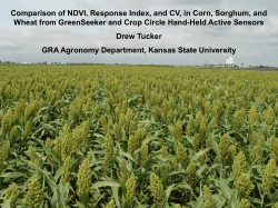 Comparison of NDVI, Response Index, and CV, in Corn