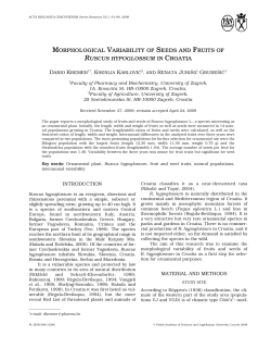 morphological variability of seeds and fruits of ruscus hypoglossum