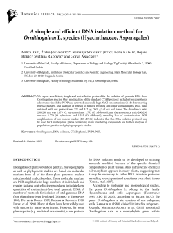 A simple and efficient DNA isolation method for