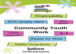 Spelthorne Needs Assessment