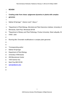 Creating order from chaos: epigenome dynamics in