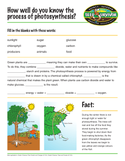 How well do you know the process of photosynthesis?