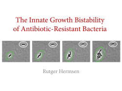 The Innate Growth Bistability of Antibiotic