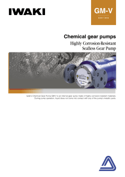 IWAKI Chemical gear pumps GM