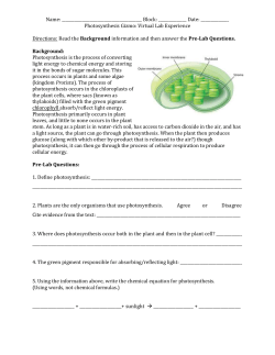 Photosynthesis Gizmo 2015